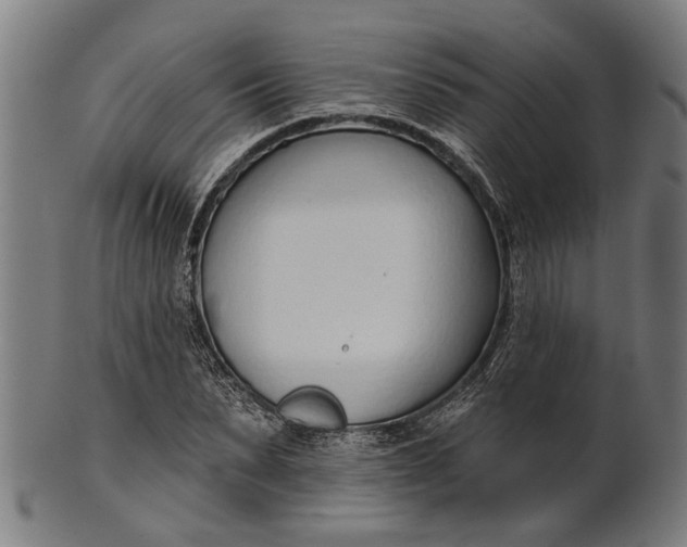 X0000101200879200807111007