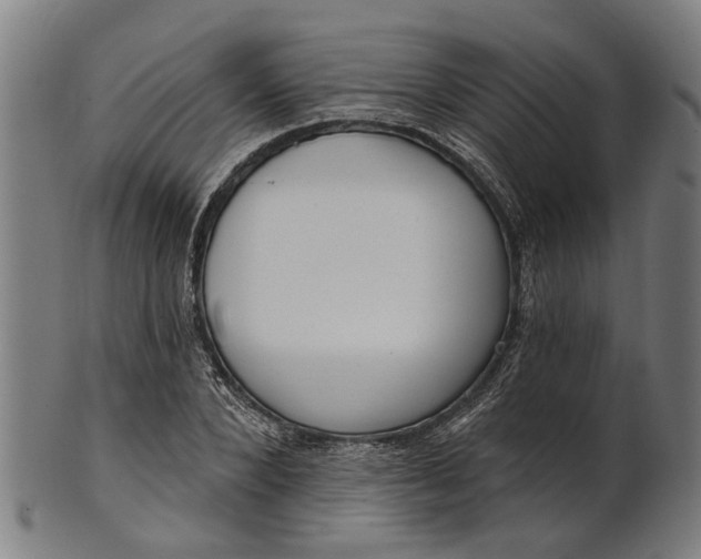 X0000101200880200807111007