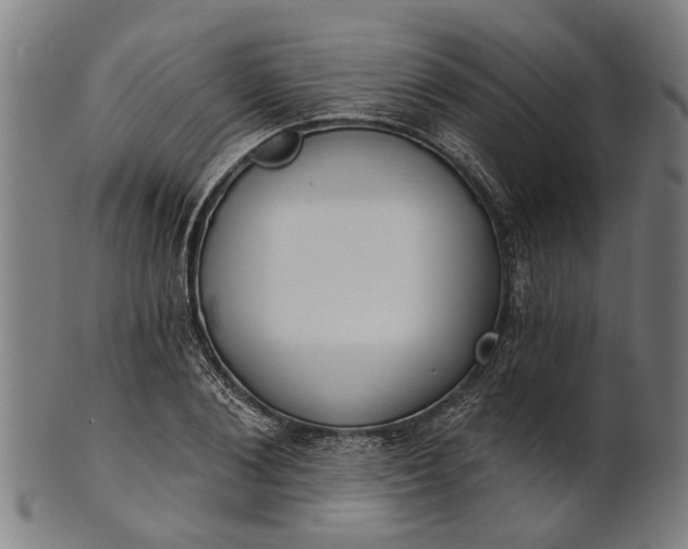 X0000101200884200807111007