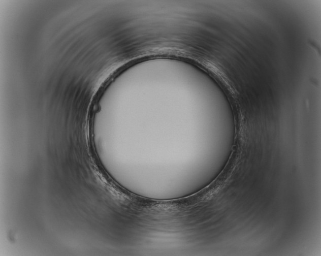 X0000101200888200807111007