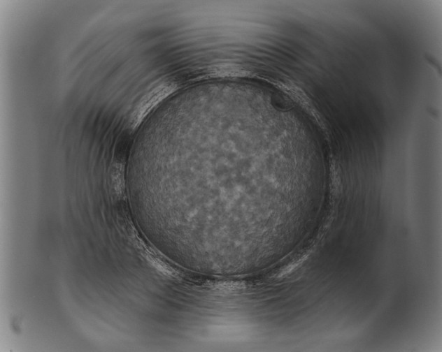 X0000101200889200807111007