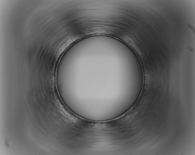 X0000101200890200807111007