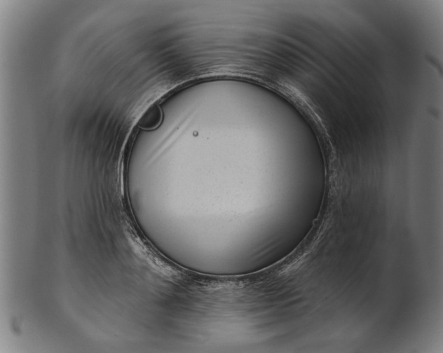 X0000101200892200807111007