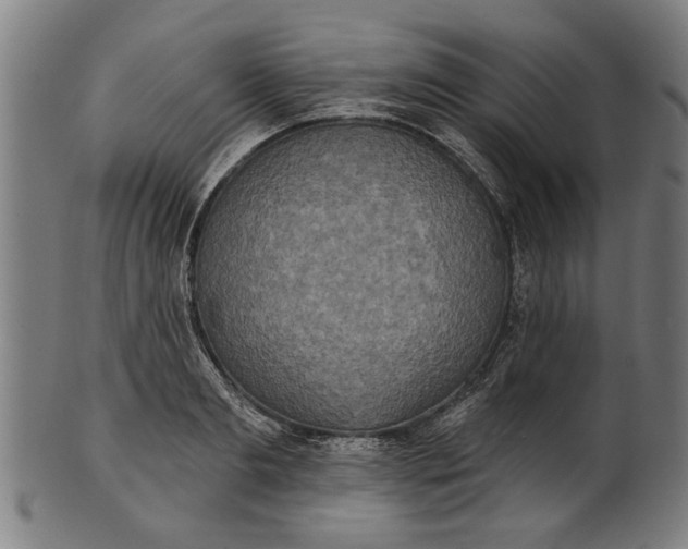 X0000101200893200807111007