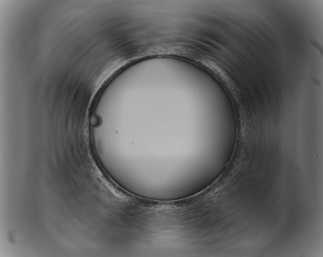 X0000101200894200807111007