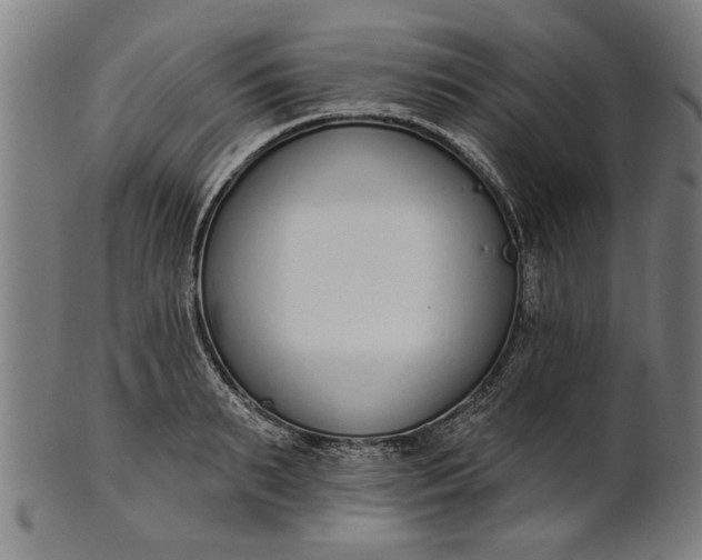 X0000101200895200807111007