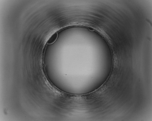 X0000101200896200807111007