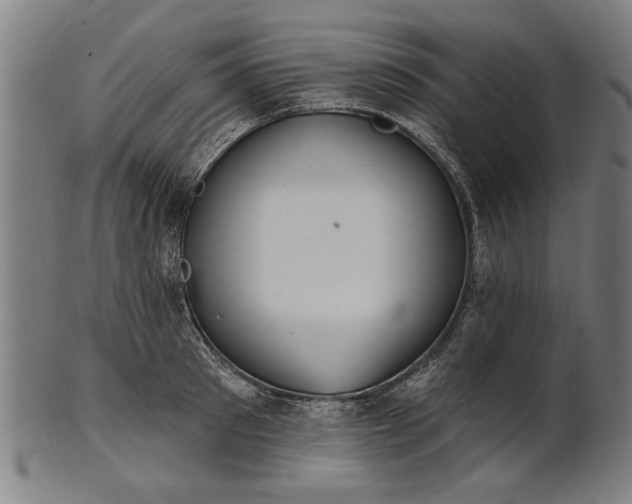 X0000101200897200807111007