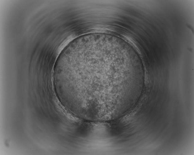 X0000101200899200807111007