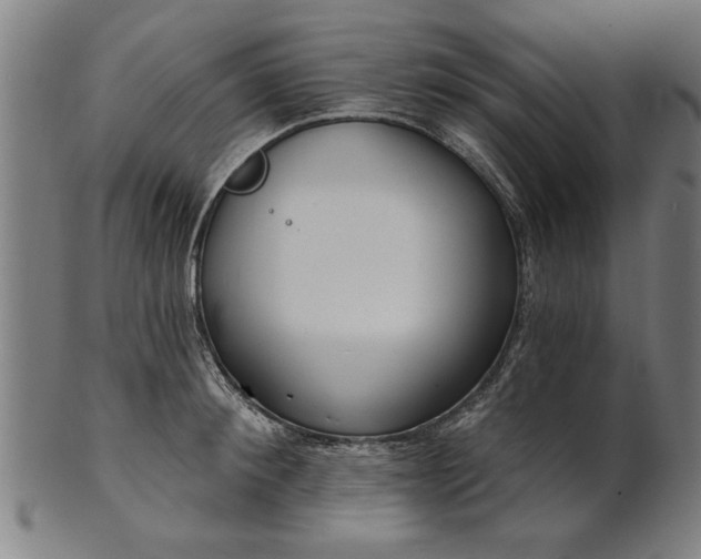X0000101200900200807111007