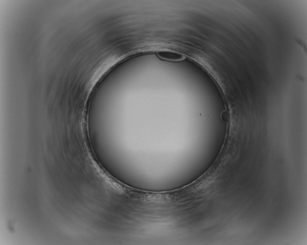 X0000101200901200807111007