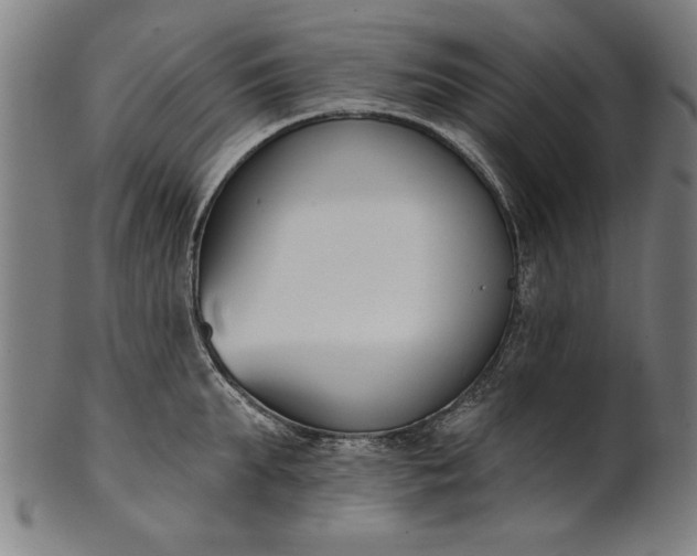 X0000101200903200807111007
