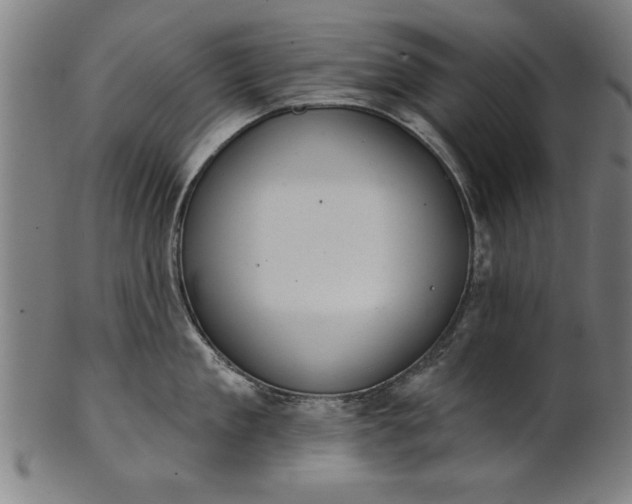 X0000101200909200807111007