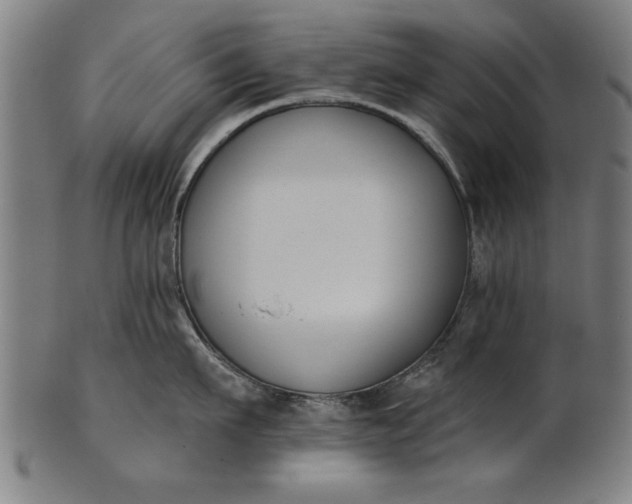X0000101200911200807111007