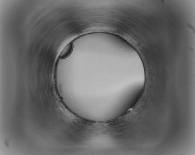 X0000101200912200807111006