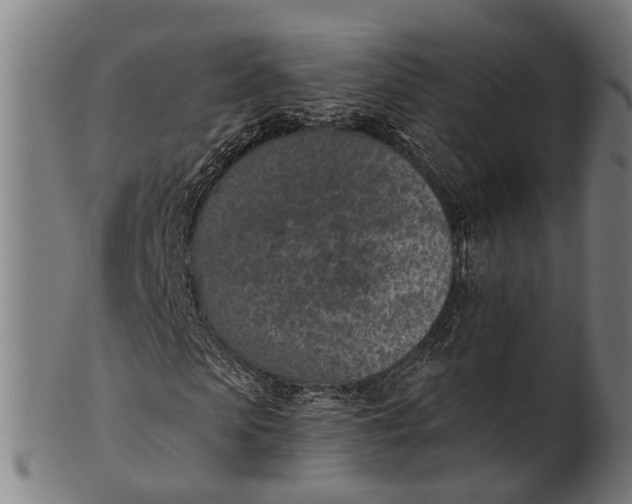 X0000101200913200807111006