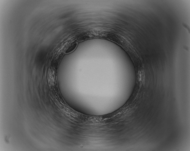 X0000101200915200807111006