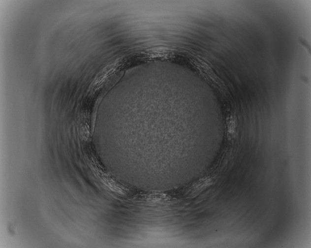 X0000101200916200807111006