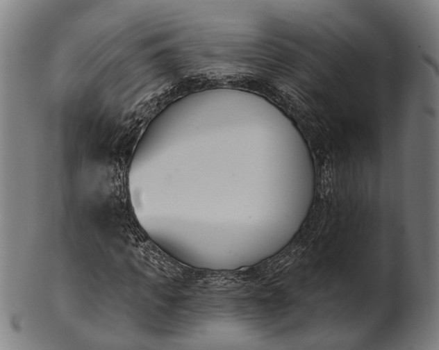 X0000101200917200807111006