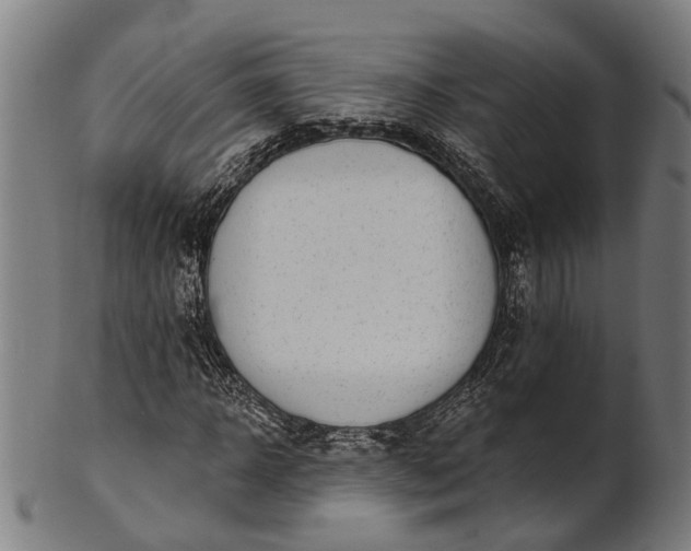 X0000101200918200807111006