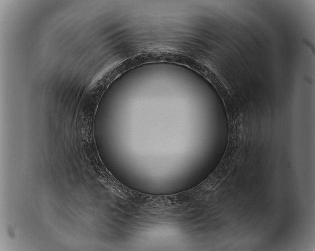 X0000101200919200807111006