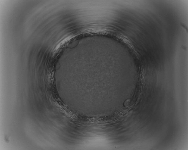 X0000101200920200807111006