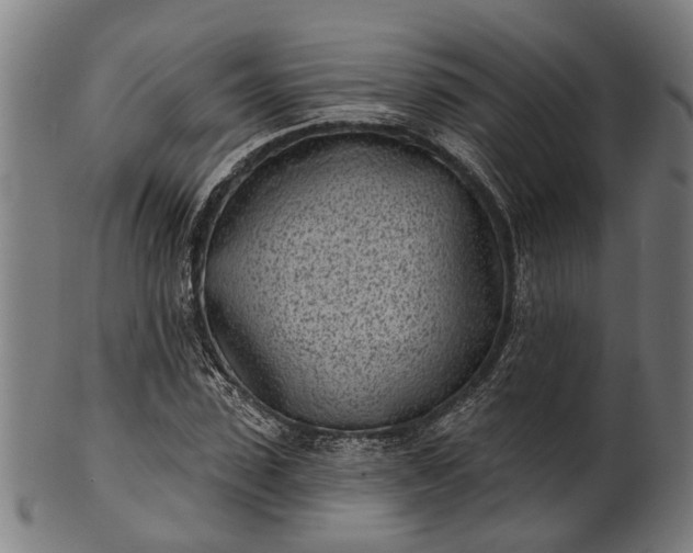 X0000101200923200807111006