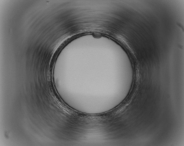 X0000101200924200807111006
