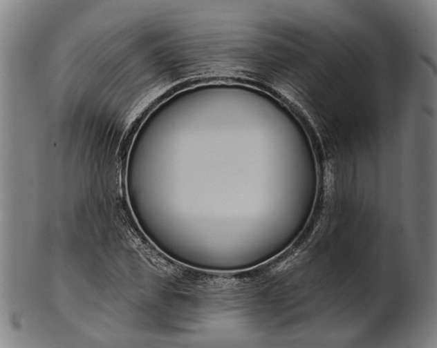 X0000101200925200807111006