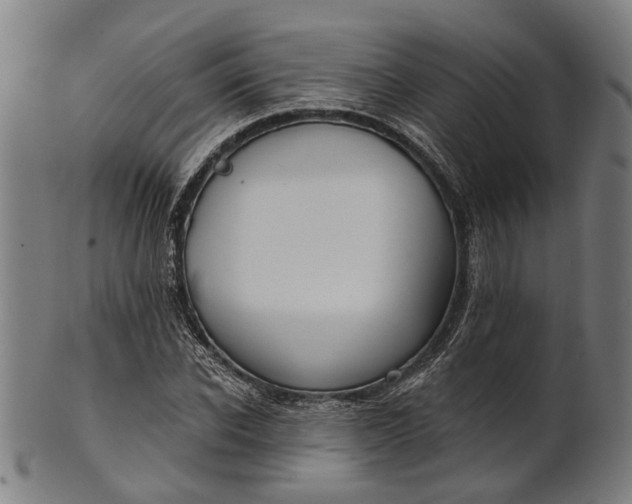 X0000101200926200807111006