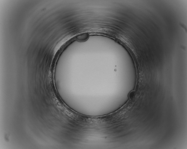 X0000101200928200807111006