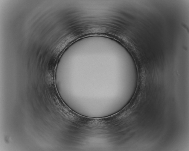 X0000101200929200807111006