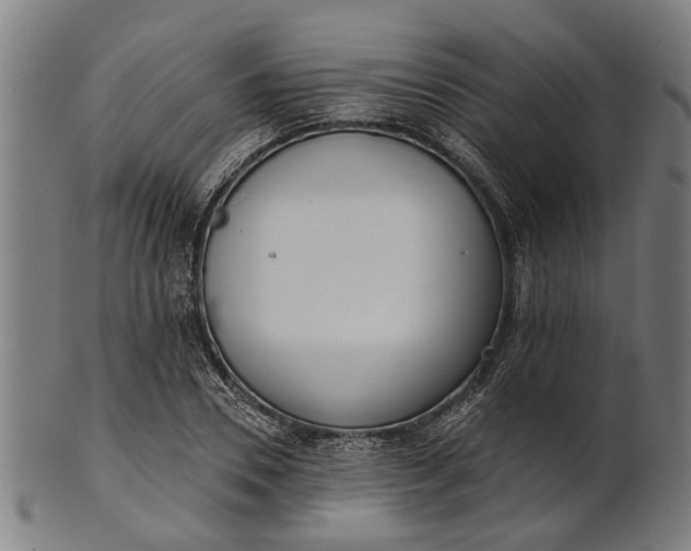 X0000101200930200807111006