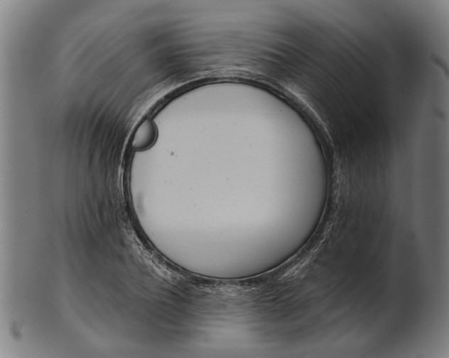 X0000101200932200807111006