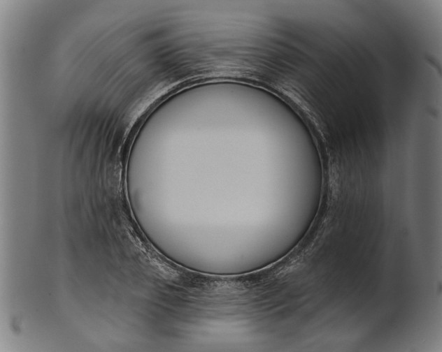 X0000101200933200807111006