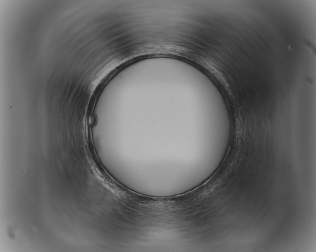 X0000101200936200807111006