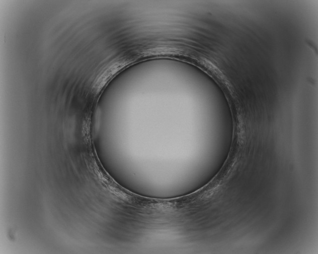 X0000101200937200807111006