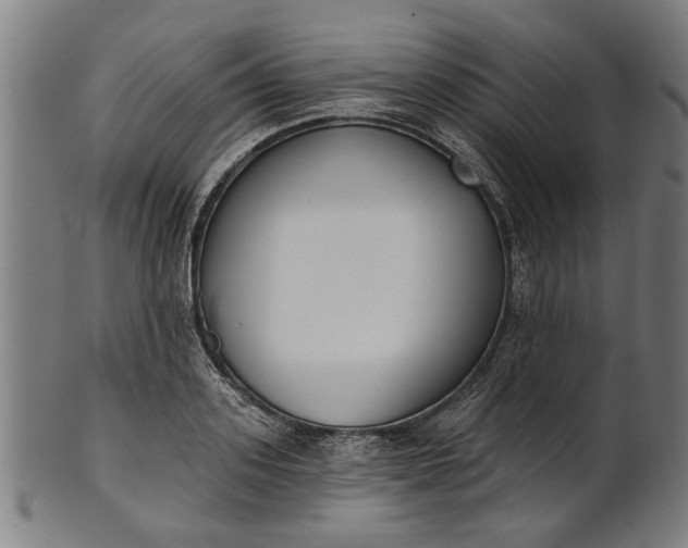 X0000101200939200807111006