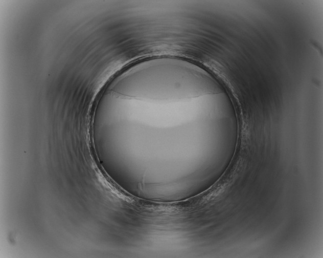 X0000101200941200807111006