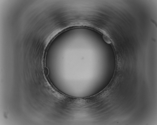 X0000101200943200807111006