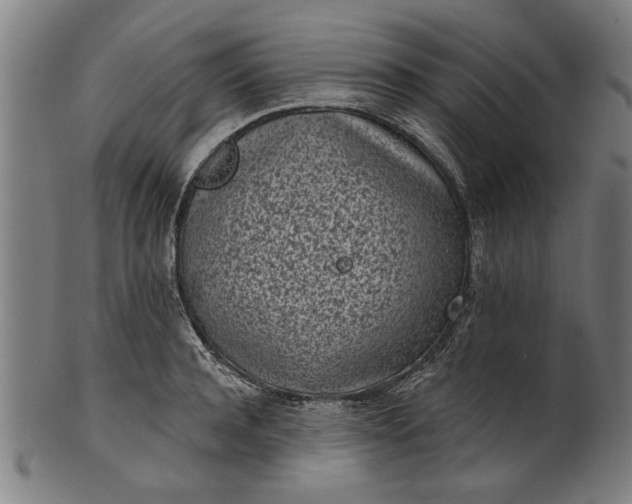 X0000101200944200807111006