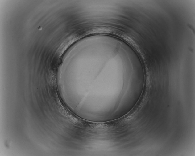 X0000101200945200807111006