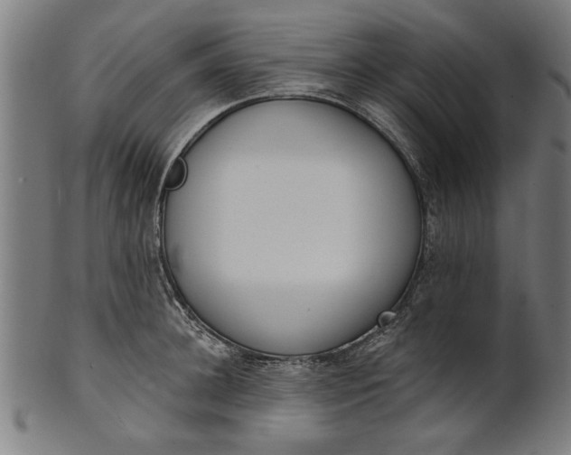 X0000101200948200807111006