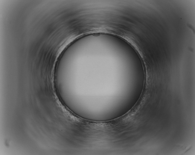 X0000101200949200807111006