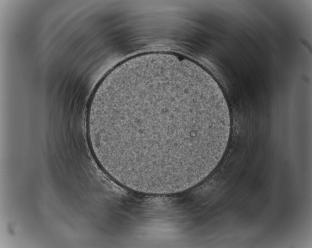 X0000101200950200807111006