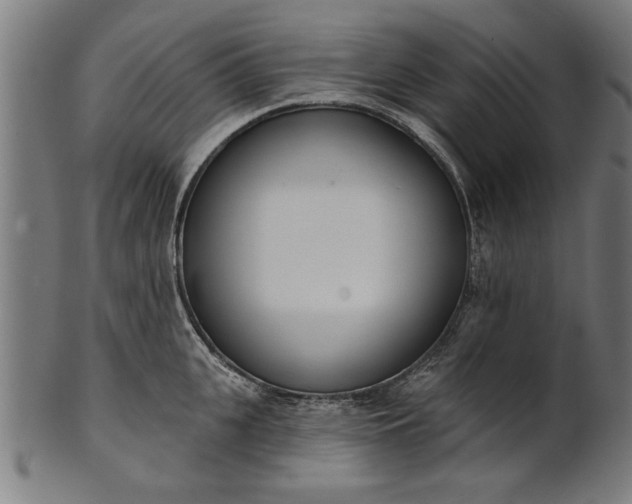 X0000101200951200807111006