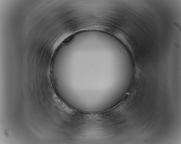 X0000101200952200807111006