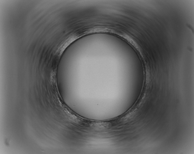 X0000101200953200807111006
