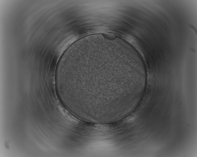 X0000101200954200807111006