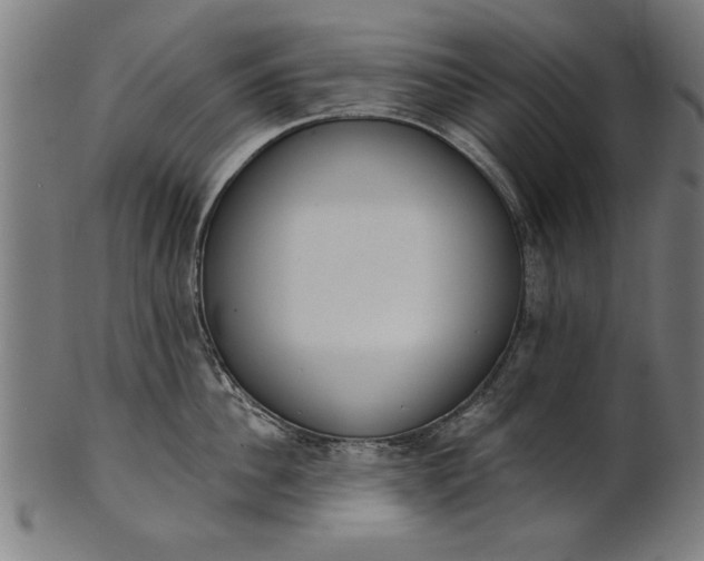X0000101200956200807111006